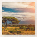 Search for kenya coasters Amboseli national park