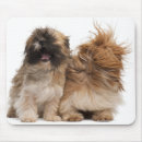 Recherche de tzu shih tapis souris Animaux domestiques