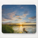 Search for released mousepads Mr