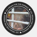 Search for free animal stickers Vegan