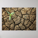 Recherche de growth posters Color image