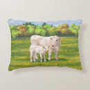 Search for beef pillows Livestock