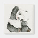 Search for panda magnets Asia
