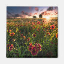 Search for blankets magnets Flower