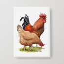 Recherche de volaille badges Animaux de ferme