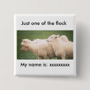 Search for flocking buttons Sheep