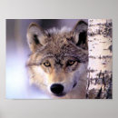 Search for hide posters Hiding