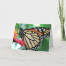 Recherche de papillon monarque vœux cartes Papillons