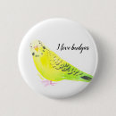 Search for parakeet buttons Budgerigar