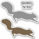 Search for grey squirrel stickers Animal
