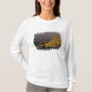Search for zabriskie tshirts National park