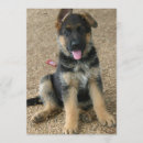 Search for german shepherd invitations Puppy