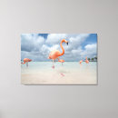 Search for aruba canvas prints Landscape