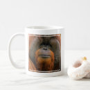 Search for male mugs Primates