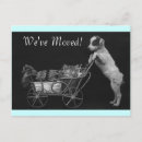 Search for house dog invitations Pets