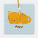 Search for orange cat ornaments Cute