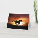 Search for running horse cards Horses