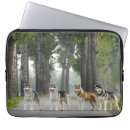 Search for husky laptop cases Alaskan malamute