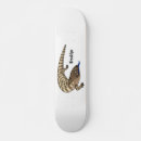 Recherche de reptile comp skateboards Dessin animé