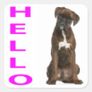 Search for hi and hello stickers Puppy