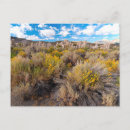 Recherche de mono cartes postales Calcaire