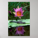 Search for hatchling posters Crocodile