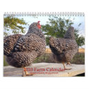 Recherche de canards bureau fournitures Ferme