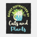 Recherche de plante de chat Jardinier
