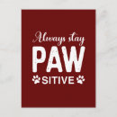 Search for paws postcards Cat