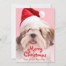 Search for lhasa apso christmas cards Cheerful