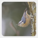 Search for tree trunk stickers Animal
