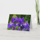 Recherche de iris photographie Jardin