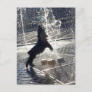 Search for length postcards Outdoors