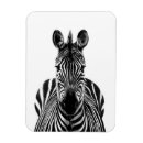 Recherche de afrique magnets Zèbre