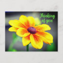 Recherche de fleur simple cartes postales Pour elle