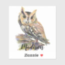 Search for screech owl stickers Bird