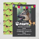 Recherche de allemands invitations Berger allemand
