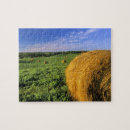 Recherche de foin puzzles Champ