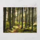 Search for boreal forest postcards Woods