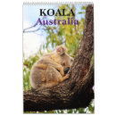 Search for koala calendars Australia