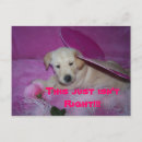 Recherche de vrais amis cartes postales Amour
