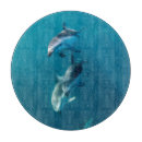 Recherche de la argentine dessous de verres Dauphin