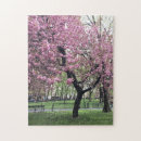 Search for cherry tree puzzles Trees