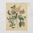 Recherche de stades posters Fleurs