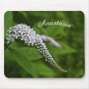 Search for beautiful mousepads Garden
