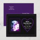 Recherche de petit chat blanc cartes postales Pour elle