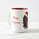 Search for long hair dachshund mugs Dachsund