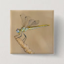 Search for dragonfly square buttons Bugs