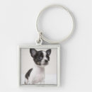 Search for purebred keychains Animal