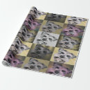 Search for occassions gift wrap Wrapping